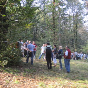 Visita dei delegati dei servizi fitosanitari europei alla pima area di rilascio nel 2011